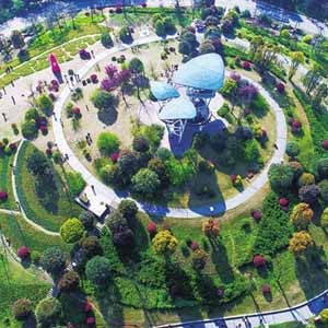 铁山坪森林公园