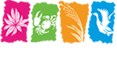 东滩湿地公园