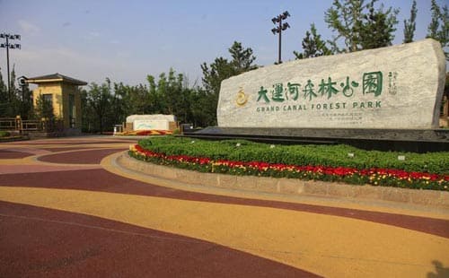 大运河森林公园