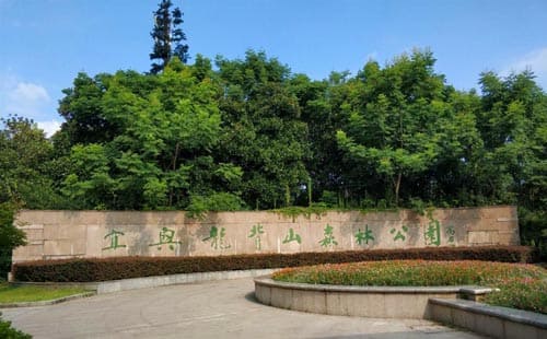 龙背山森林公园