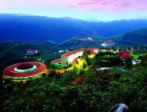 梅州市雁南飞茶田景区