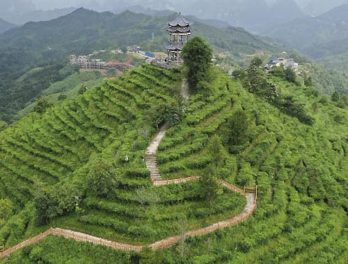 广西茶山金字塔景区