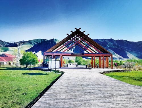 伊犁尼勒克县湿地古杨风景区