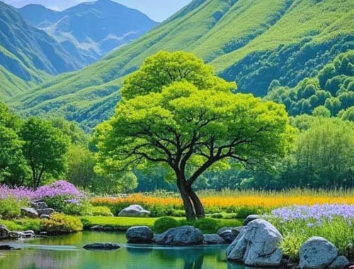 剑门蜀道剑门关旅游景区