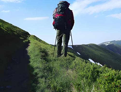 哀牢山森林旅游区