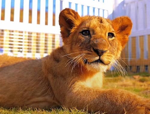 宿迁森迪野生动物园