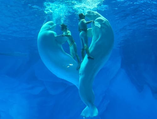 周口海洋馆