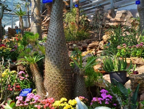 大别山植物园