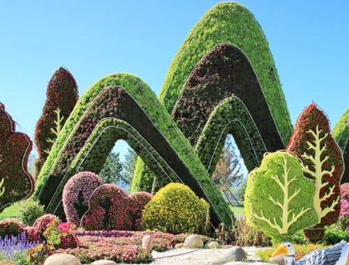 周口植物园