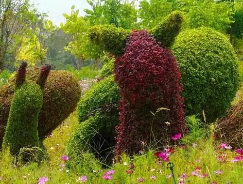 重庆南山植物园