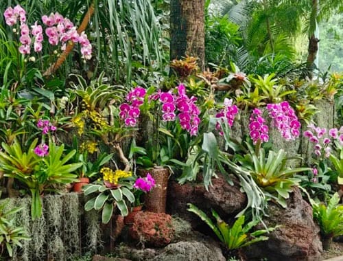 周口植物园